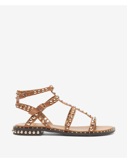 SANDALO ASH PRECIOUS